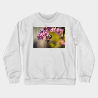 American Lady Butterfly Crewneck Sweatshirt